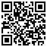 手机/微信访问网站